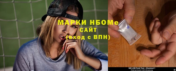 мдпв Новозыбков