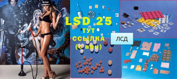 мдпв Новозыбков