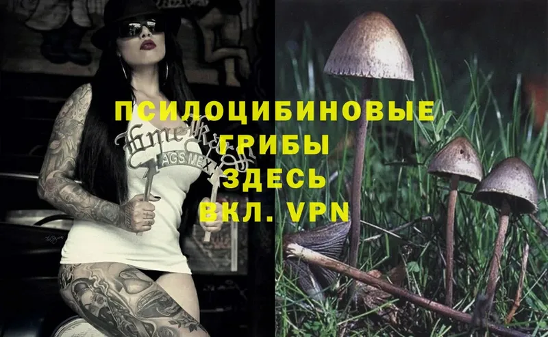 Галлюциногенные грибы MAGIC MUSHROOMS  Людиново 