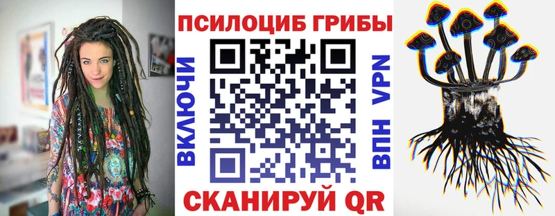 цены наркотик  Людиново  Псилоцибиновые грибы Cubensis 