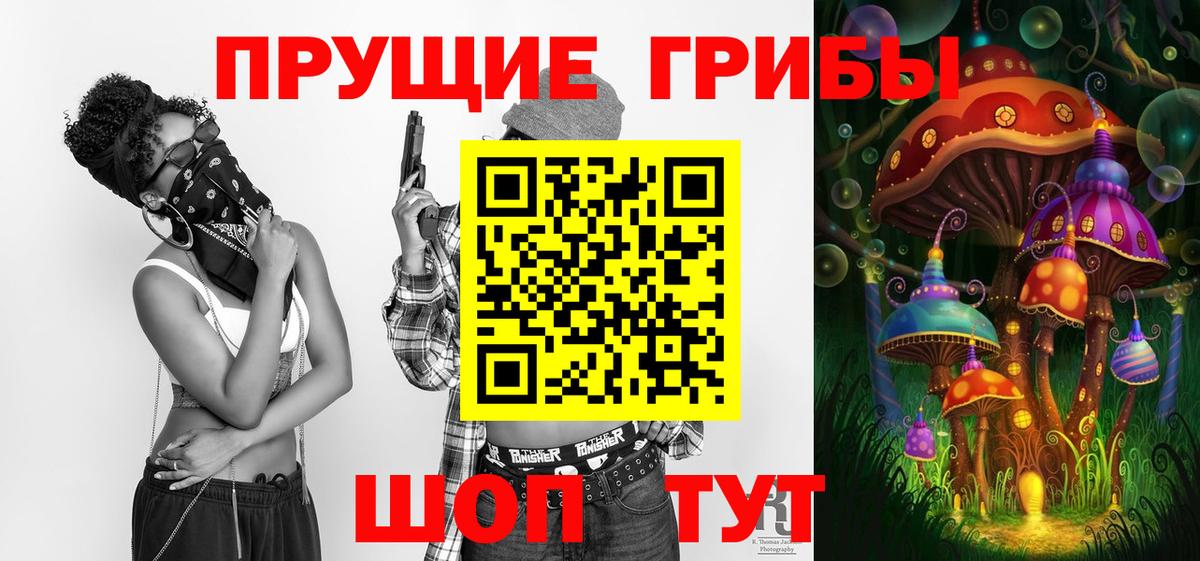 Псилоцибиновые грибы GOLDEN TEACHER  Псилоцибиновые грибы Psilocybine cubensis  Людиново  Вход с VPN 